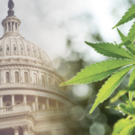 The Most Notable Federal Marijuana Actions of 2024